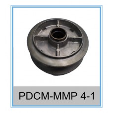 PDCM-MMP 4-1