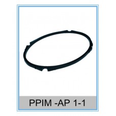 PPIM-AP 1-1