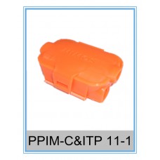 PPIM-C&ITP 11-1 