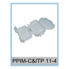 PPIM-C&ITP 11-4 