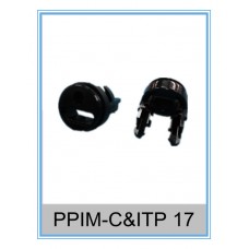 PPIM-C&ITP 17 