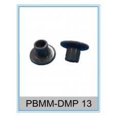 PBMM-DMP 13