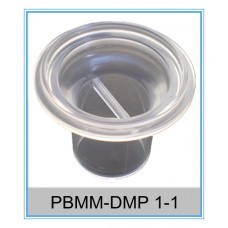 PBMM-DMP 1