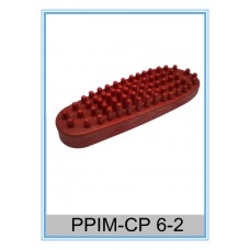 PPIM-CP 6-2 