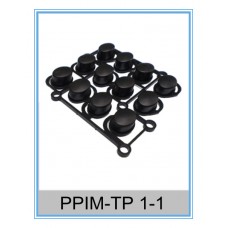 PPIM-TP 1-1